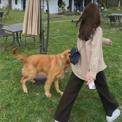 太阳出来之后